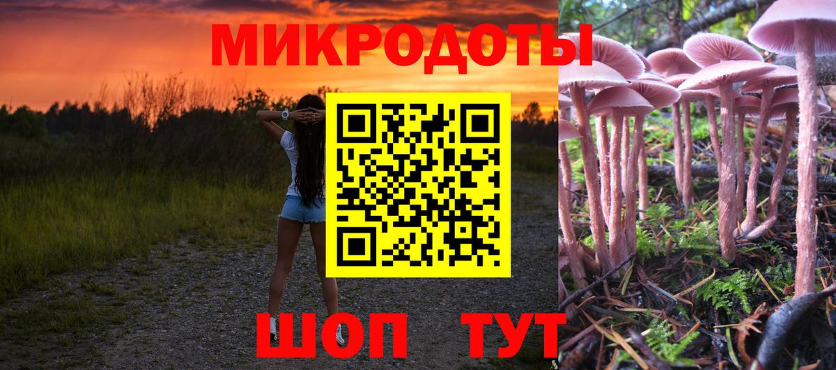Галлюциногенные грибы GOLDEN TEACHER  Вход с VPN  Черемхово 
