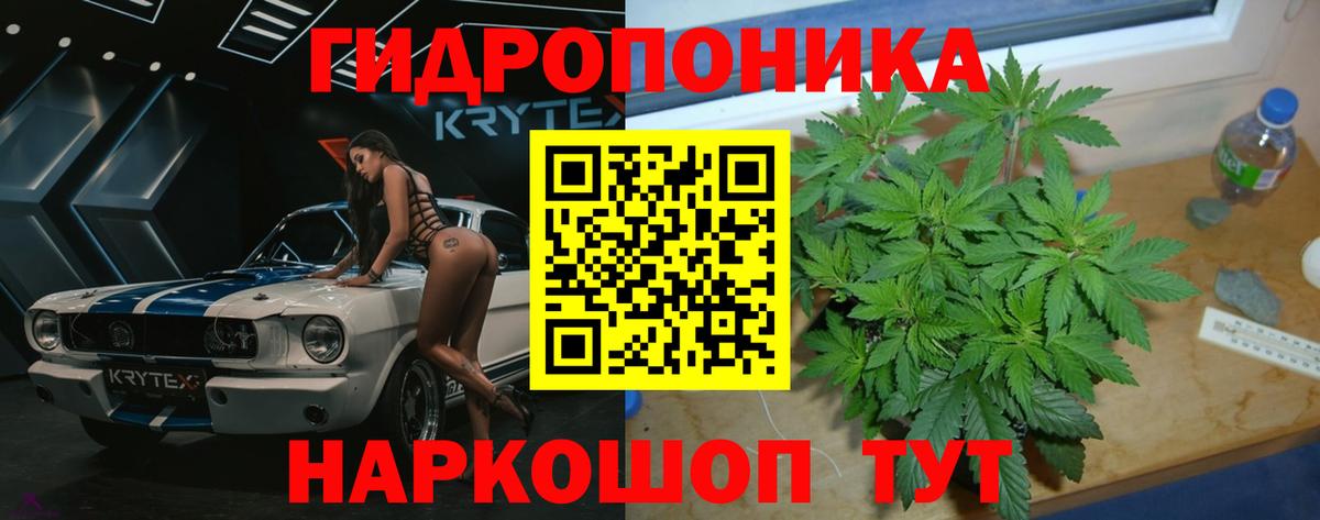 Шишки марихуана марихуана Черемхово